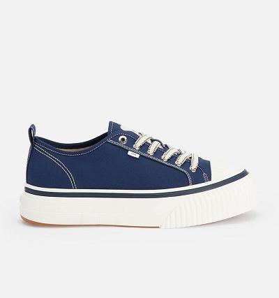 Men's Ami Paris Low Top Ami 1980 Sneakers Navy | ami-AU361