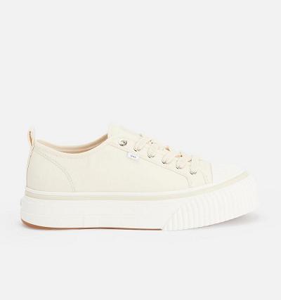 Men's Ami Paris Low Top Ami 1980 Sneakers Beige | ami-AU414